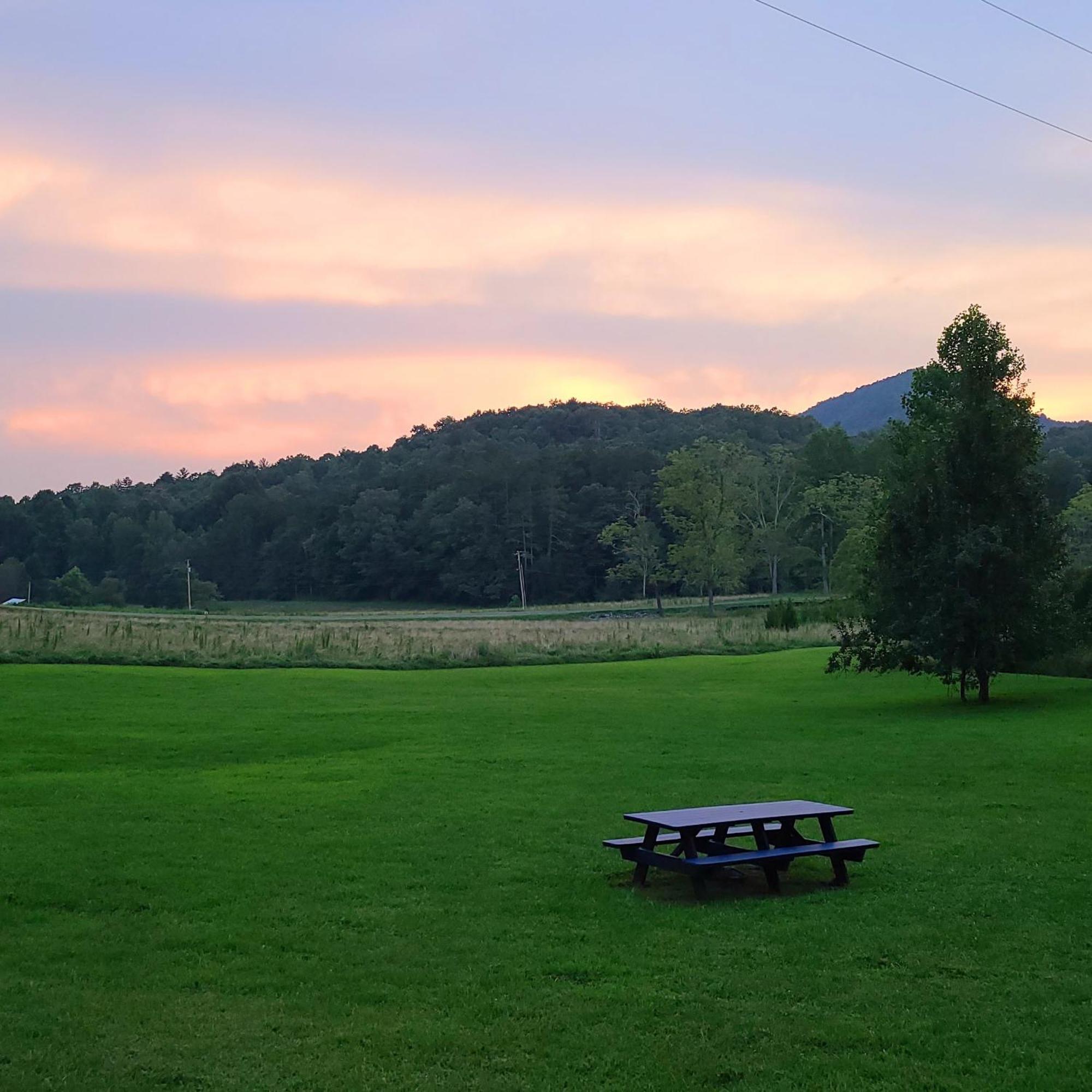 Cozy Cottage With Full View Of The Mountains! Blue Ridge Exteriör bild